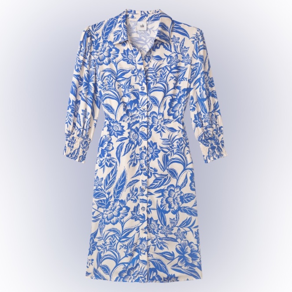 CAbi Athena Dress (6149) - Size L